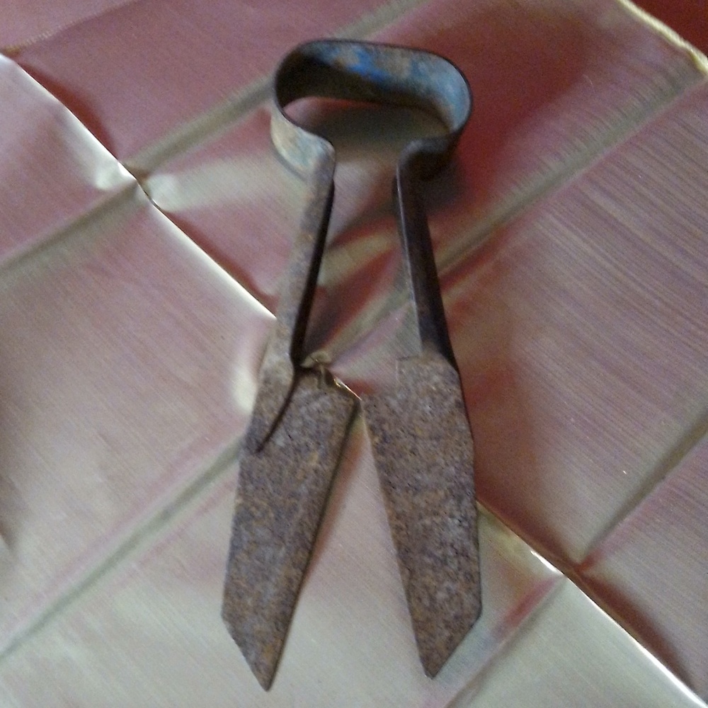 1930s vintage sheep shears